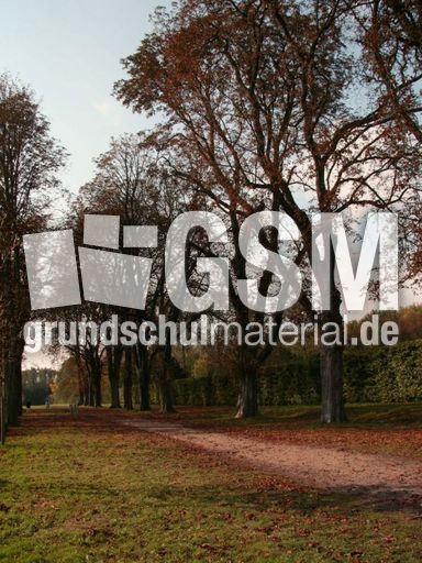 B-Herbststimmung 017.jpg